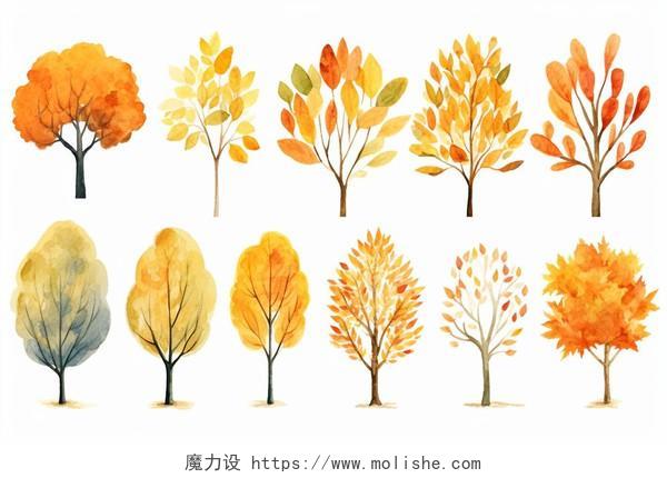 一组不同的秋天树叶和树木卡通水彩AI插画